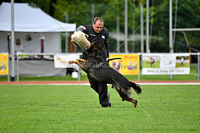 X-Man von der Maineiche