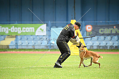 X'Yoda vom Further Moor