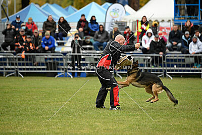 Xabu von der Germanenquelle