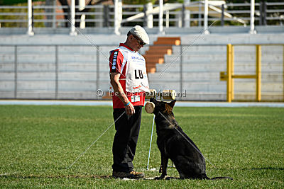 Xanuk vom grauen Star