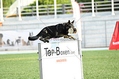 Xanuk vom grauen Star