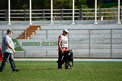 Xanuk vom grauen Star