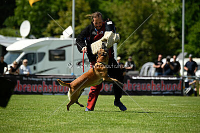 Xarey vom Further Moor