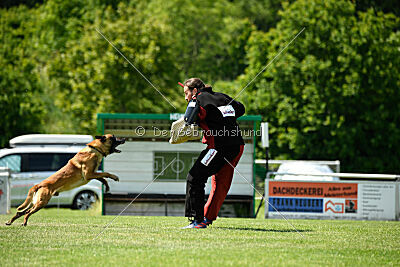 Xarey vom Further Moor