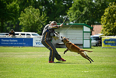 Xarey vom Further Moor