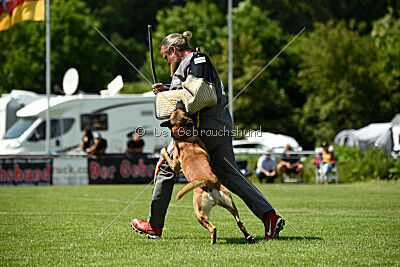 Xarey vom Further Moor