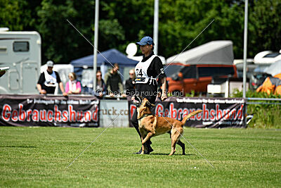 Xarey vom Further Moor