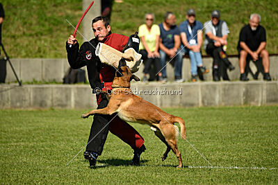 Xarey vom Further Moor