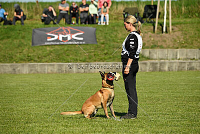 Xarey vom Further Moor