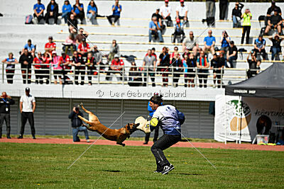 Xarey vom Further Moor