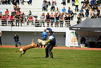 Xarey vom Further Moor