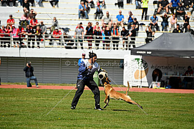 Xarey vom Further Moor