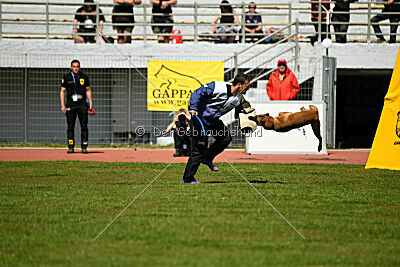 Xarey vom Further Moor