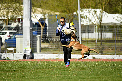 Xarey vom Further Moor