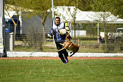 Xarey vom Further Moor