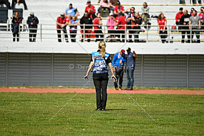 Xarey vom Further Moor