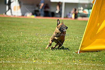 Xarey vom Further Moor