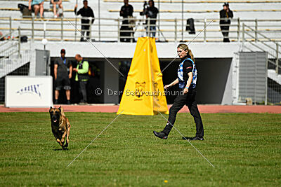 Xarey vom Further Moor