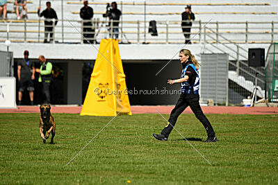 Xarey vom Further Moor