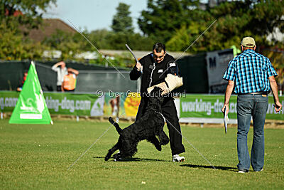 Xaro von der Schönburg