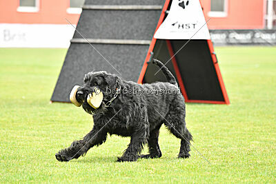 Xaro von der Schönburg