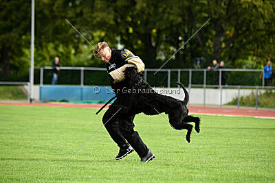 Xaro von der Schönburg