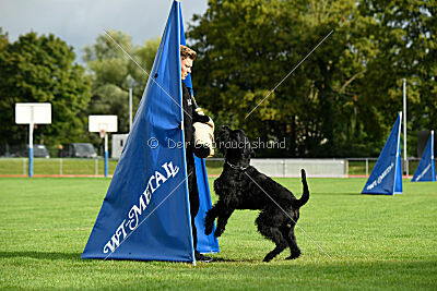 Xaro von der Schönburg