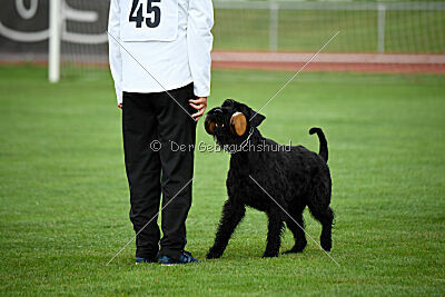 Xaro von der Schönburg