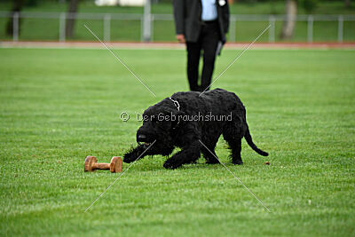 Xaro von der Schönburg