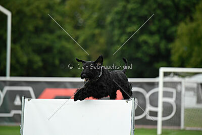 Xaro von der Schönburg