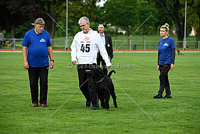 Xaro von der Schönburg