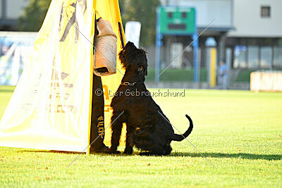 Xaro von der Schönburg