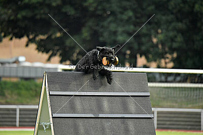 Xaro von der Schönburg