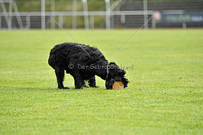 Xaro von der Schönburg
