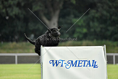 Xaro von der Schönburg