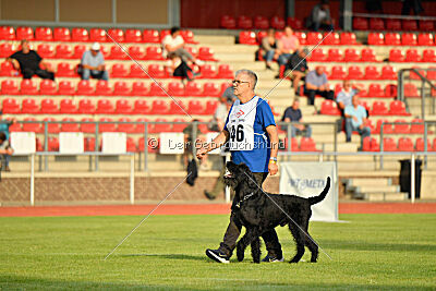 Xaro von der Schönburg