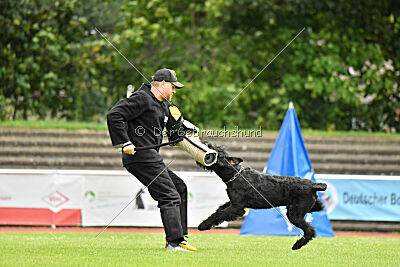 Xaro von der Schönburg