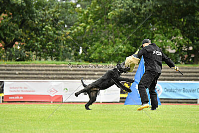 Xaro von der Schönburg