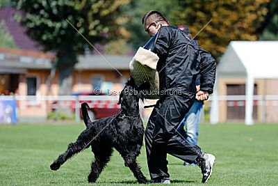 Xaro von der Schönburg