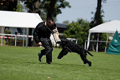 Xaro von der Schönburg