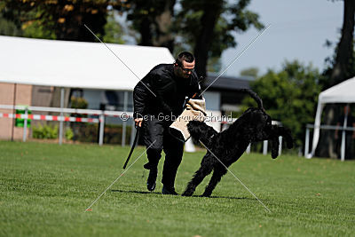 Xaro von der Schönburg