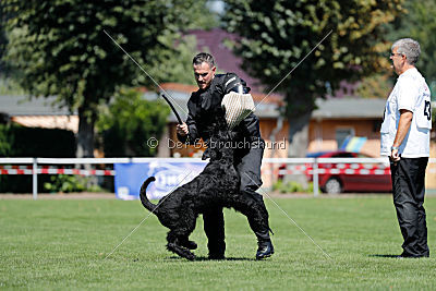 Xaro von der Schönburg