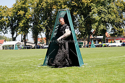 Xaro von der Schönburg