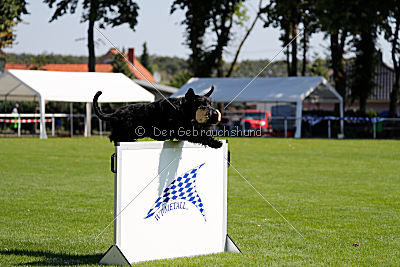 Xaro von der Schönburg