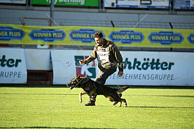 Xavi de Jardines del Real