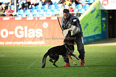 Xavi de Jardines del Real