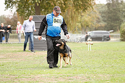 Xayco von der Mahler-Meister