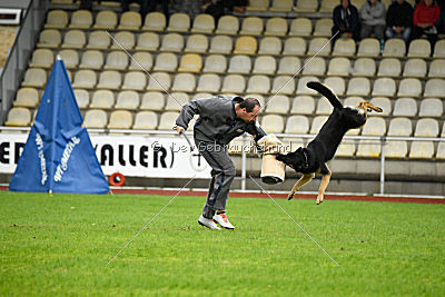 Xayco von der Mahler-Meister