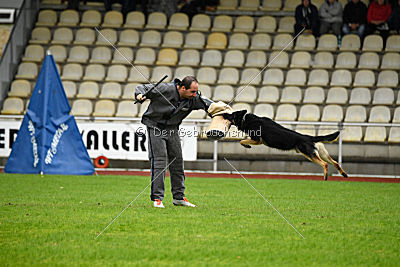 Xayco von der Mahler-Meister