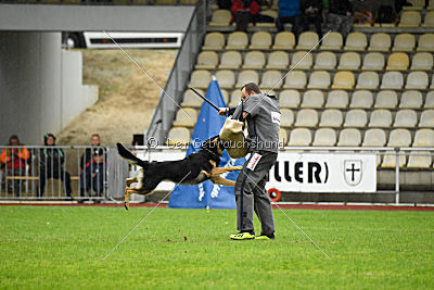 Xayco von der Mahler-Meister